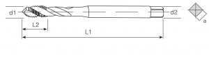 HSS-E Din 371 Machine Taps 40° Helical Flute - INOX