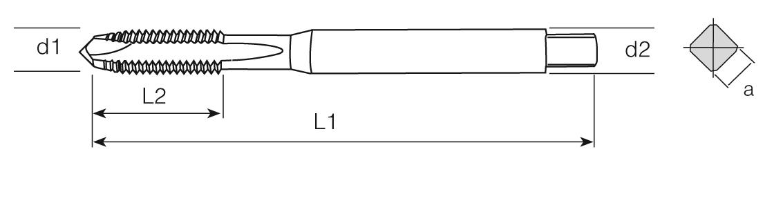 PM Din 371 Machine Taps Spiral Point - INOX